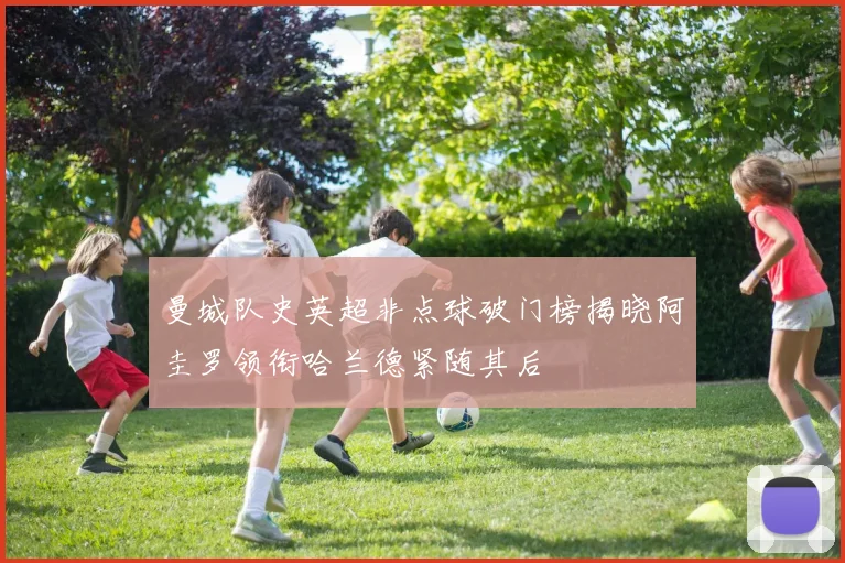 曼城队史英超非点球破门榜揭晓阿圭罗领衔哈兰德紧随其后