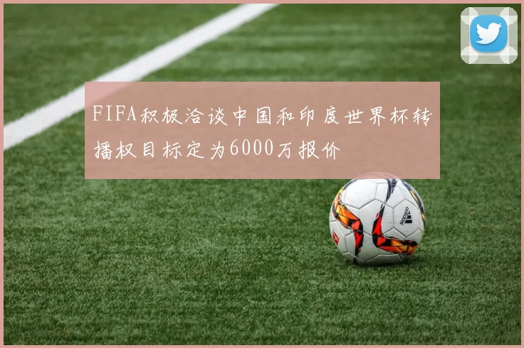 FIFA积极洽谈中国和印度世界杯转播权目标定为6000万报价