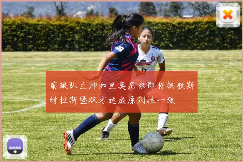 前狼队主帅加里奥尼尔即将执教斯特拉斯堡双方达成原则性一致
