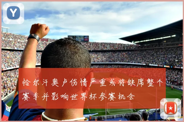 恰尔汗奥卢伤情严重或将缺席整个赛季并影响世界杯参赛机会